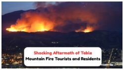 Table Mountain's Forests Struggle to Recover After February Blaze: Local Concerns Rise as Tourism Declines