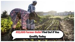 August 2025: Farmers Set to Receive R12,000 Relief Package Boost!