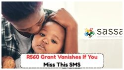 Missed the August SMS? Your R560 Grant Could Be at Risk—Here's How to Verify Your Status Now