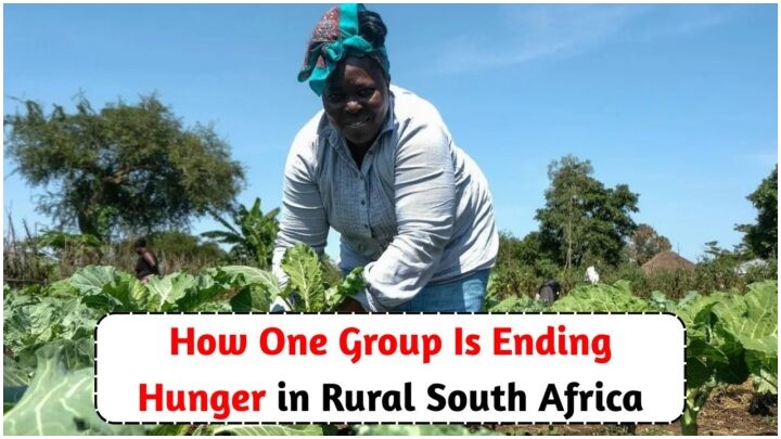 Grassroots Approach