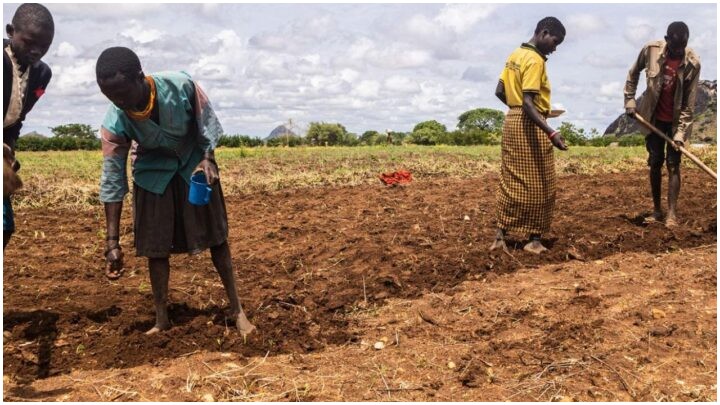 Grassroots Food Relief