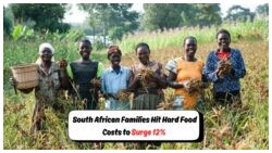 August 2025 Food Price Surge: Families Face 12% Hike as Daily Necessities Strain Budgets
