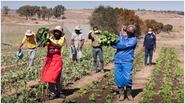 Hunger in Rural South Africa