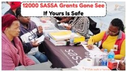 SASSA Halts 12,000 Grants – Ensure Yours Isn't Next with This Simple Online Check